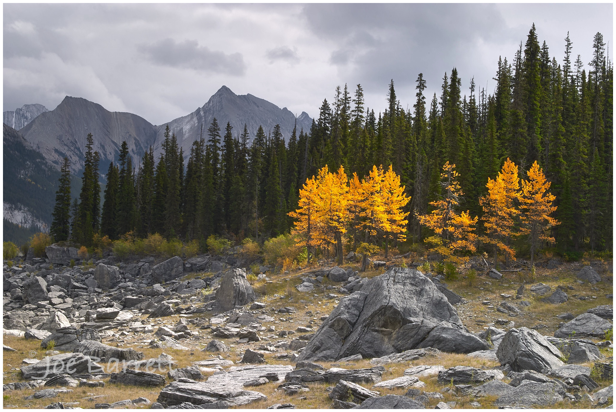 Medicine Lake, Jasper