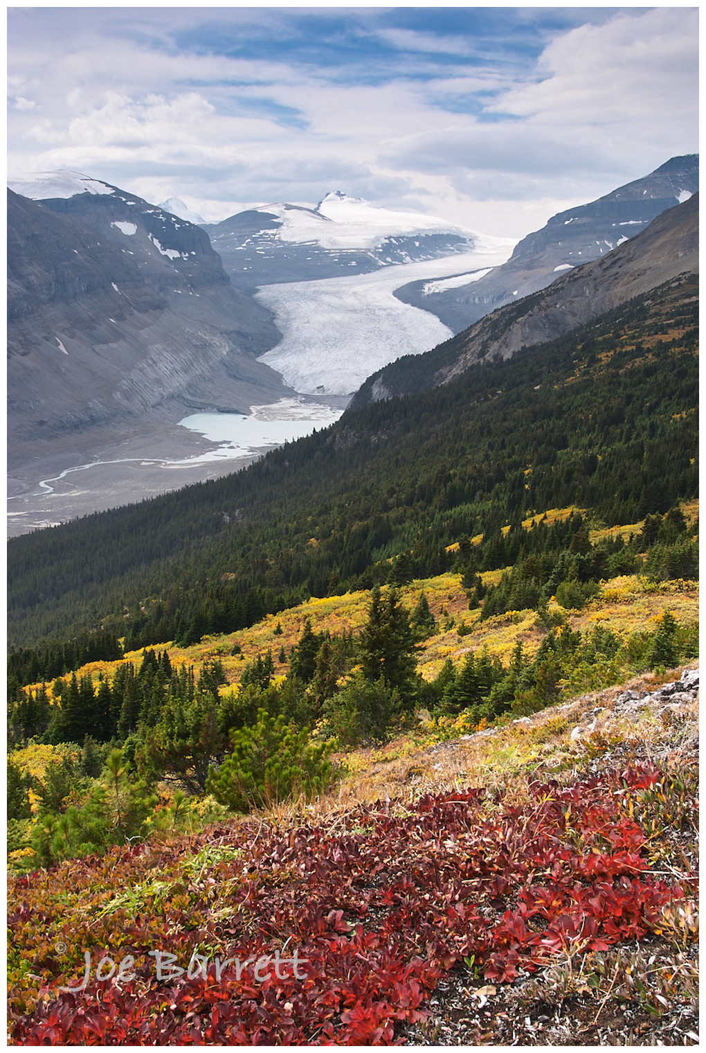 Athabasca Glacier