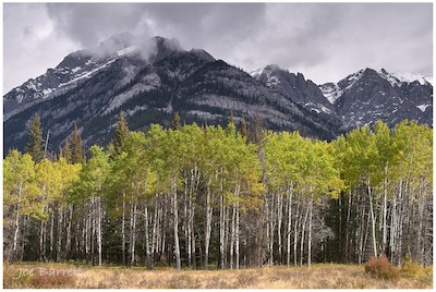 Hillside Meadows